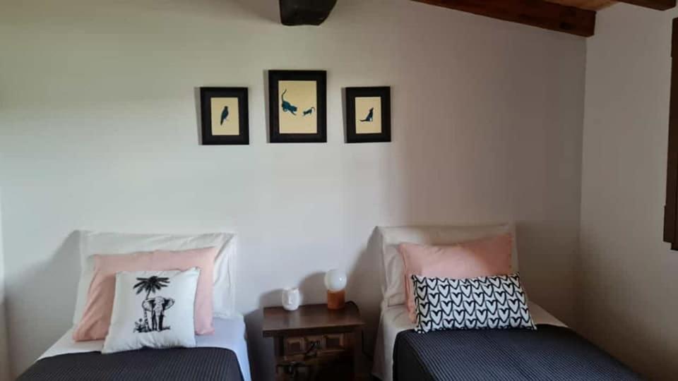 Casa Da Ti Adelia Villa Janeiro de Cima Buitenkant foto